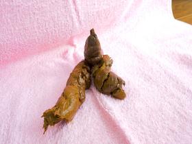 排泄嬢しか勝たん vol.2　サンプル画像02